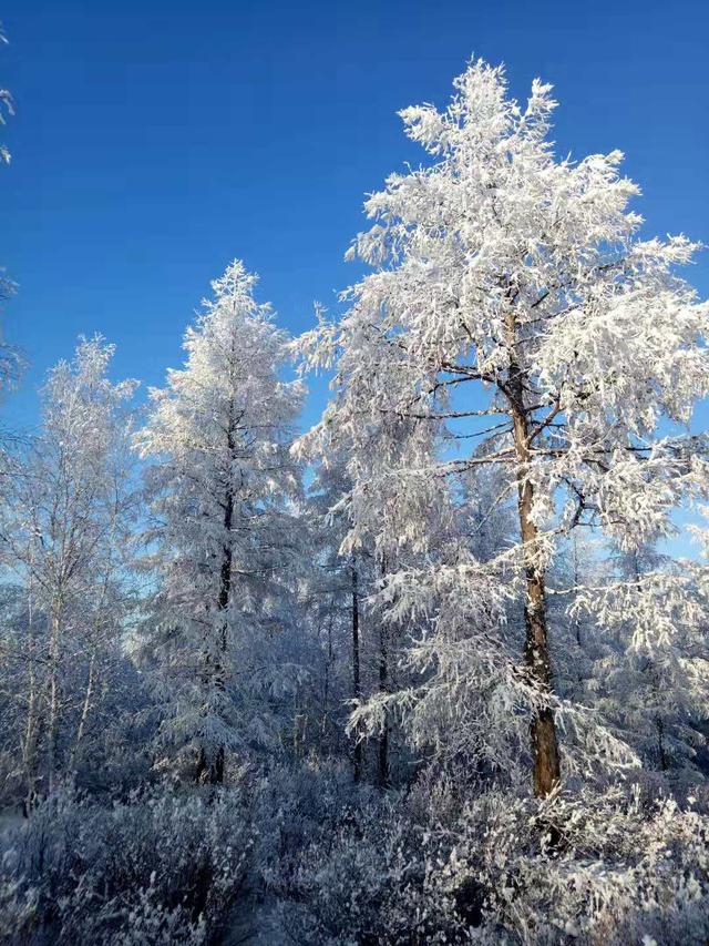 牙克石市公安局长,牙克石党员教育