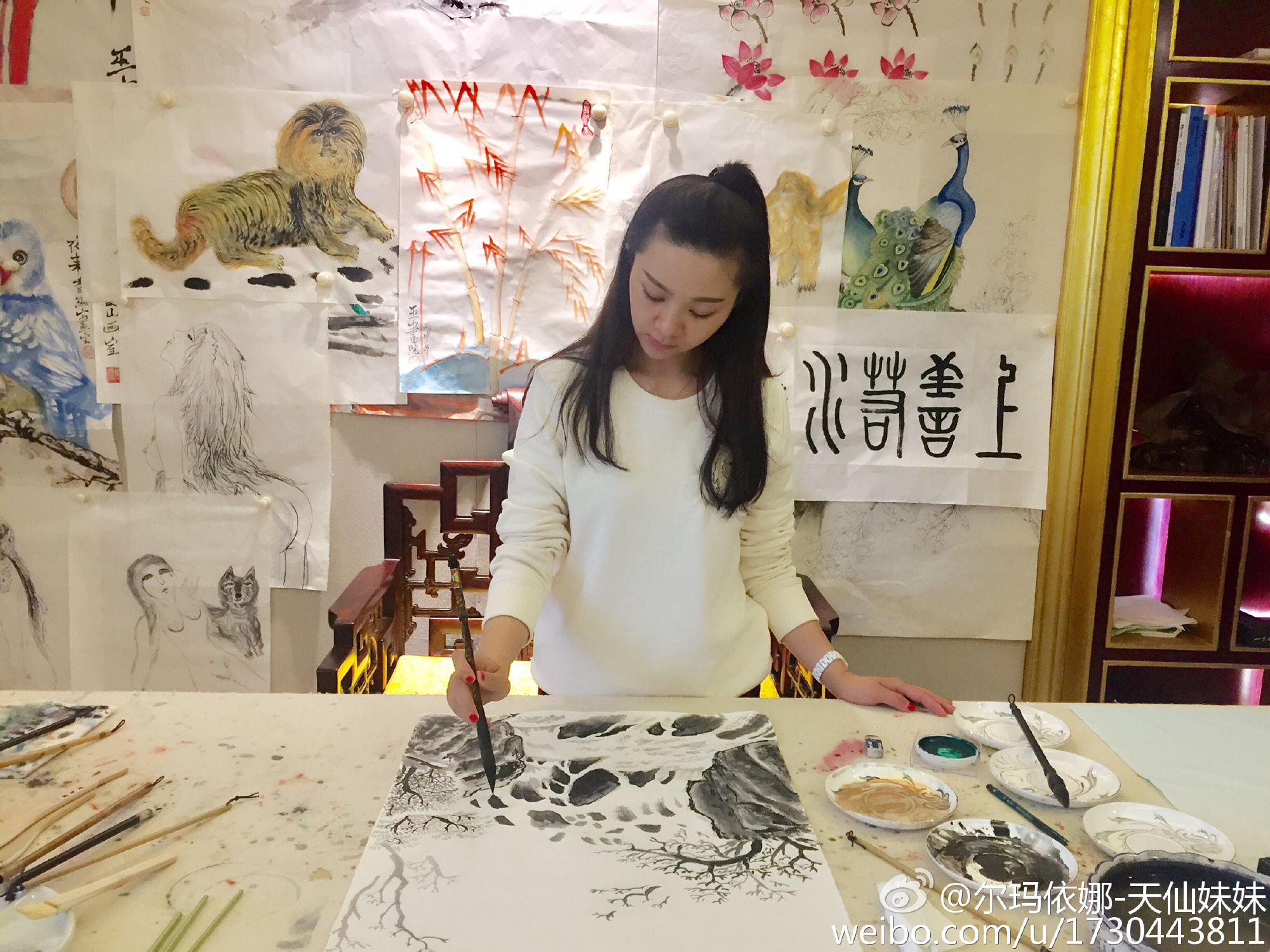 天仙妹妹尔玛依娜图片,天仙妹妹尔玛依娜个人资料