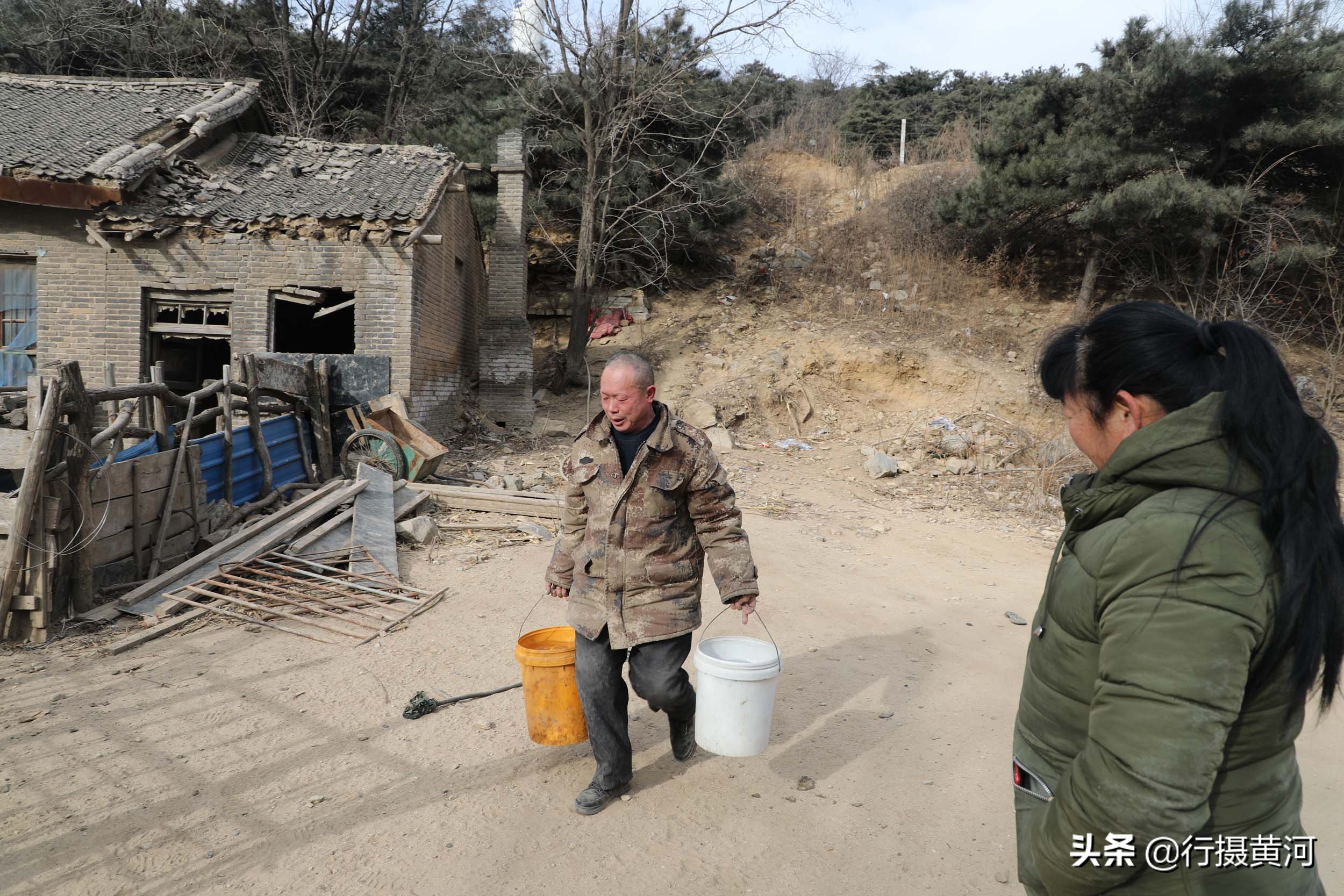 90后夫妻山中搞养殖飞鸡,6旬夫妻深山养牛