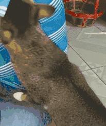 网上买的连衣裙到货了,店家连夜打电话跪求删除好评照片太尴尬了