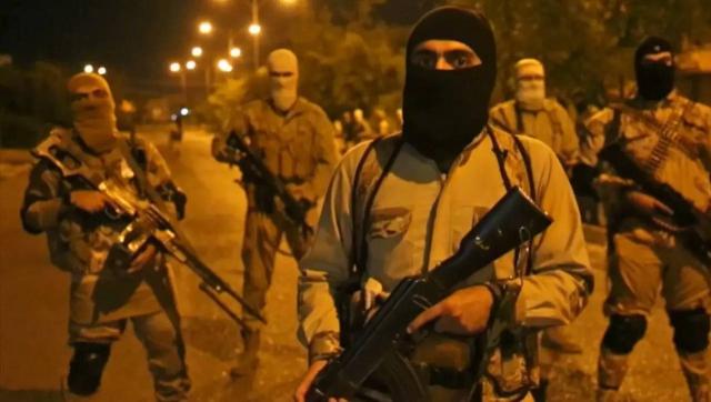 is是哪个国家扶持的,IS是什么公司部门