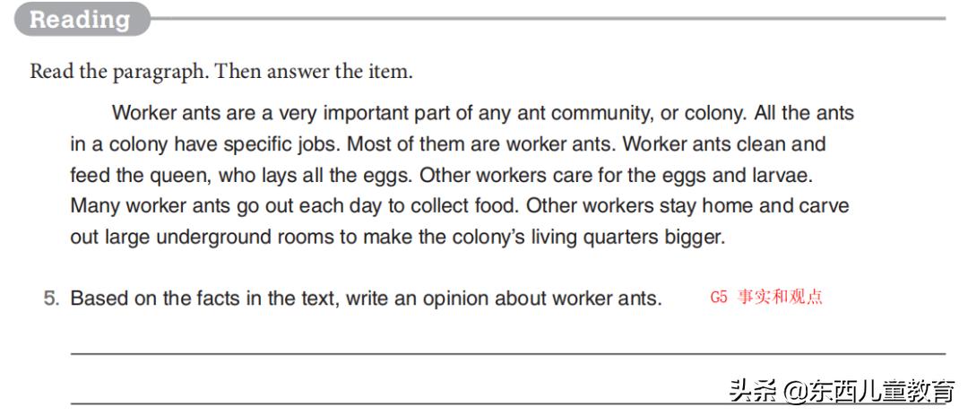 免费美国数学练习册,美国数学练习册免费下载