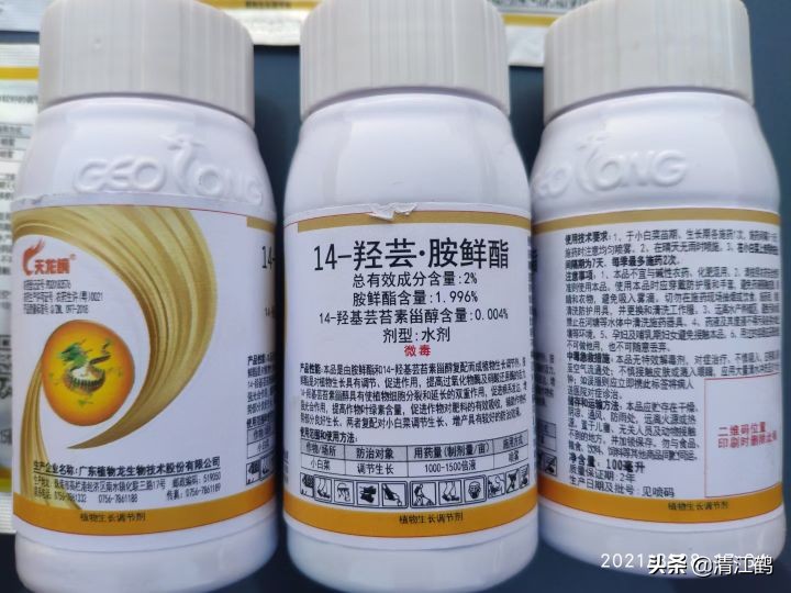 水稻立枯病和青枯病的区别是什么,水稻立枯病和青枯病用什么药防治