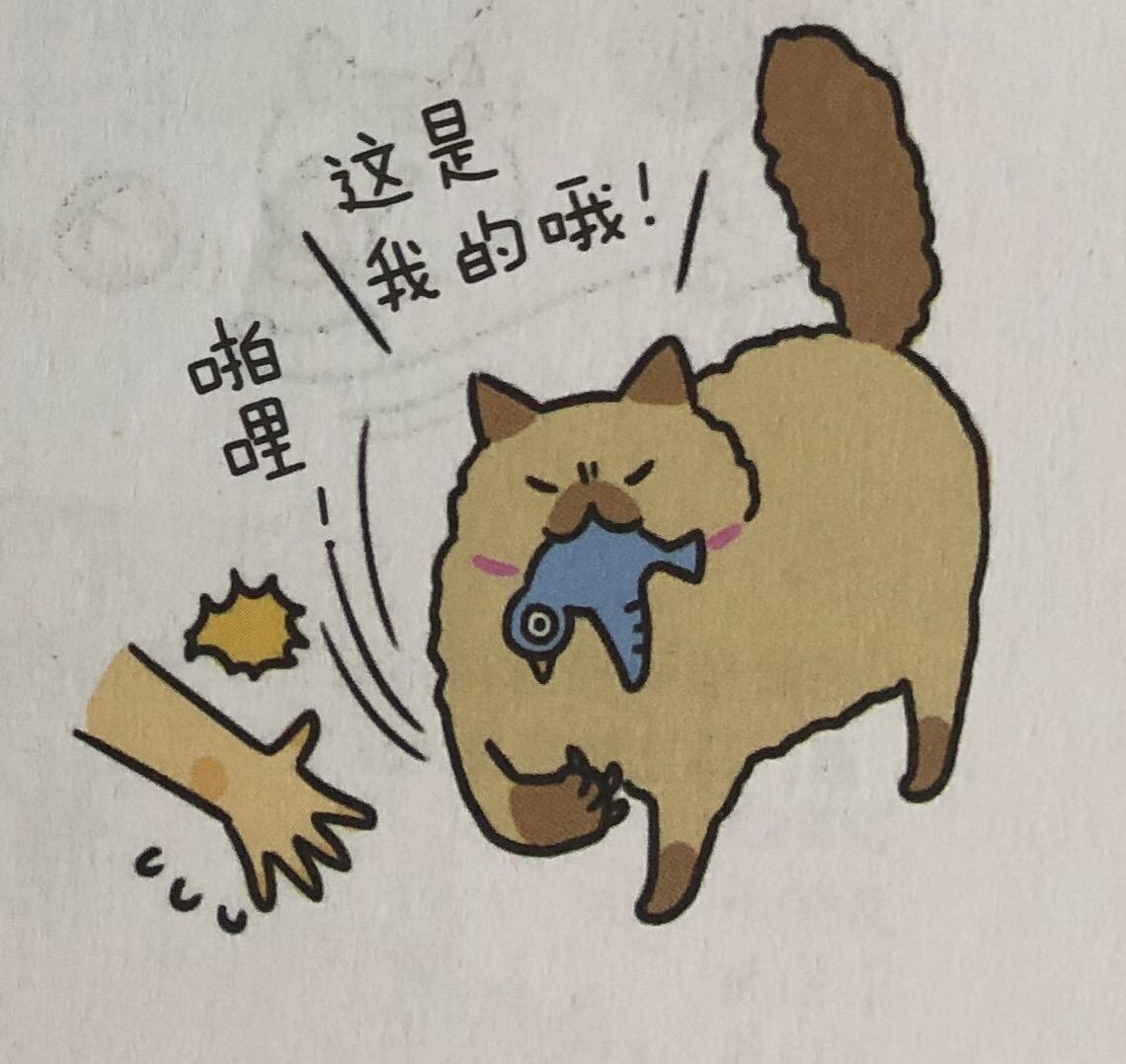 猫咪的玩具怎么动手操作呢,日常生活中该如何做猫咪的玩具