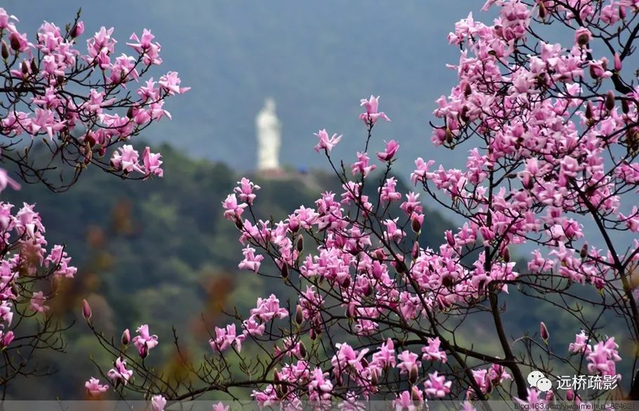 药王谷里觅旧迹（原图文）