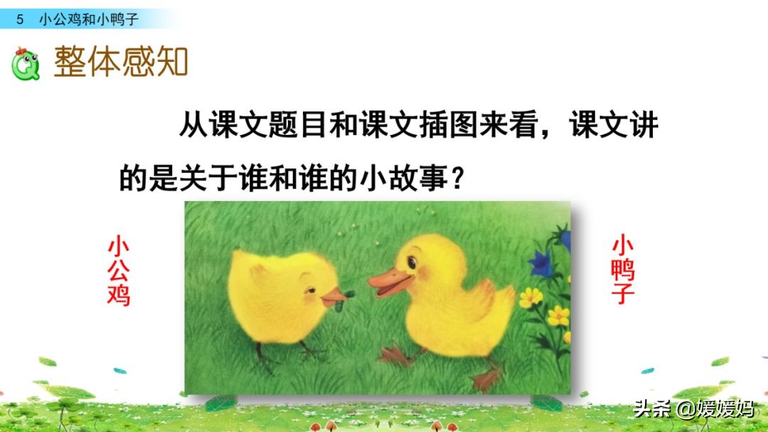 一年级下小公鸡和小鸭子课文重点,小公鸡和小鸭子一年级下册视频