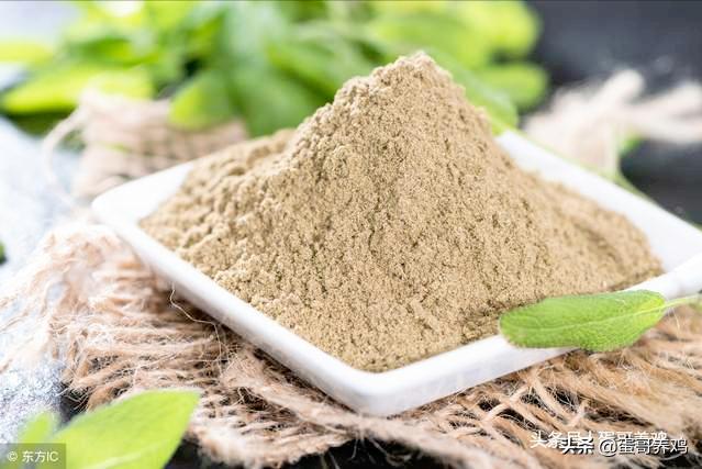 养鸡普发“冷应激”，老兽医透漏绝招，再不担心家禽受凉感冒