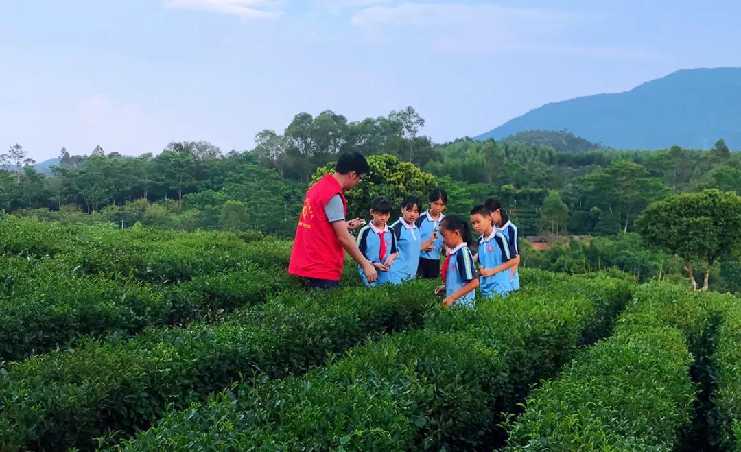 复兴少年宫放飞少年梦,乡村复兴少年宫挂牌