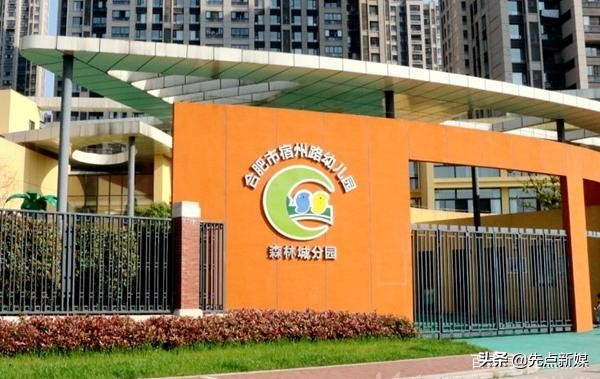 合肥最厉害的学校在哪个区,合肥各区学校排名