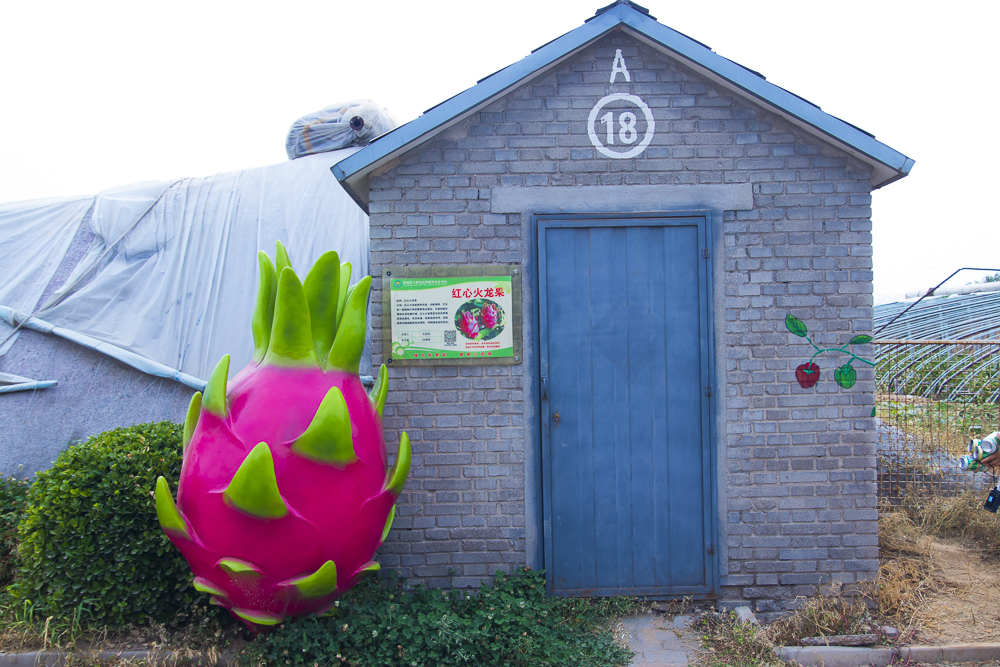 #毕业旅行啦#石家庄慧灯庄园，夏日里寓教于乐爽歪歪