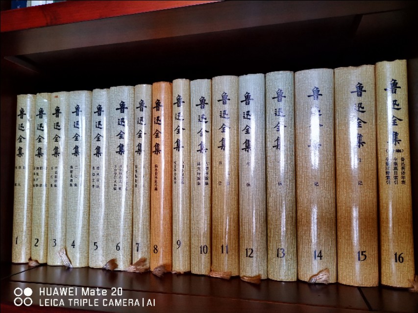 鲁迅先生的作品《坟》是论文集还是杂文集？亦或是二者皆有集？