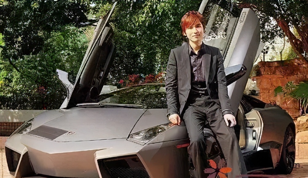 徐子淇嫁的豪门到底有多豪,徐子淇嫁入豪门八年生四子