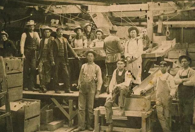 杨紫奚梦瑶高能少年团完整版,奚梦瑶杨紫综艺视频