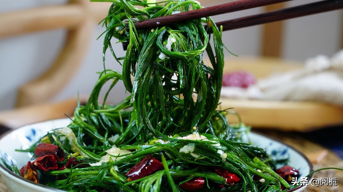 外来入侵物种，除了加拿大一枝黄花、小龙虾，你还知道哪些？