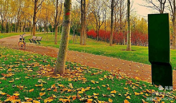 玉泉山北坞公园介绍,北坞村玉泉山