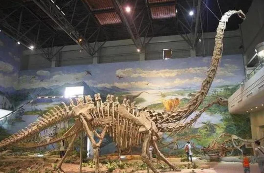 若堵住四川盆地的长江出水口，仅需500年就能变湖泊？有何后果？