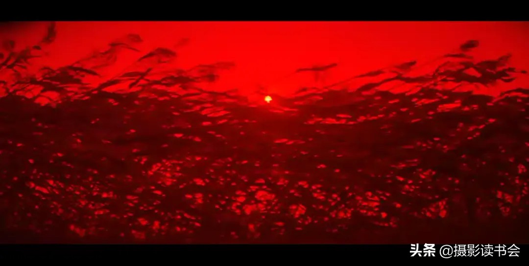 张艺谋被严重低估的一部作品,张艺谋拍电影到底有多厉害