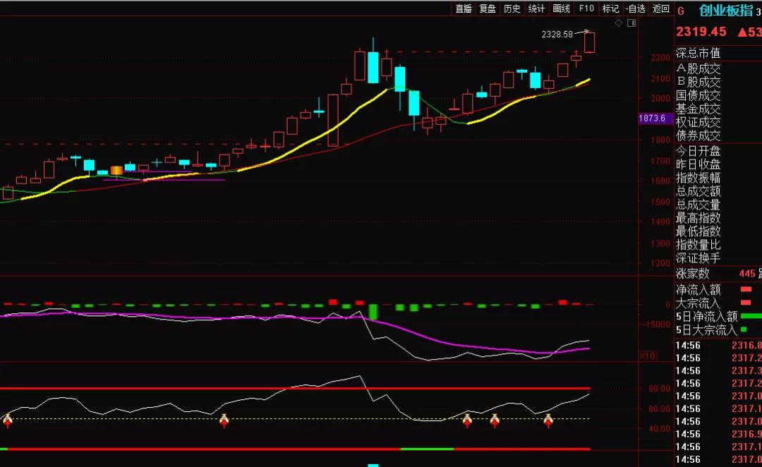魏宁海下周探底回升,魏宁海日内分时买入法