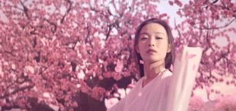 张震最新电影是什么,张震演的电影有哪些比较好看