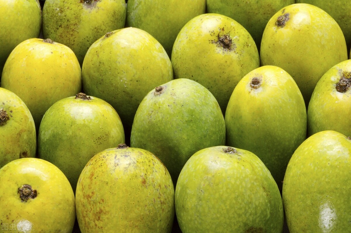 青芒果里边是黄的脆的可以吃吗,青芒果硬的能直接吃吗