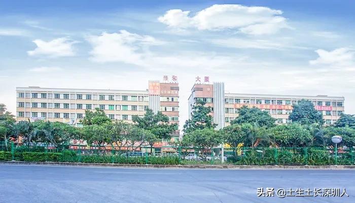 沙井是什么意思网络用语,沙井的含义是什么