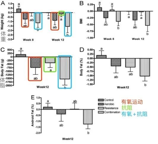 减脂适合做什么运动,适合中年人减脂的运动