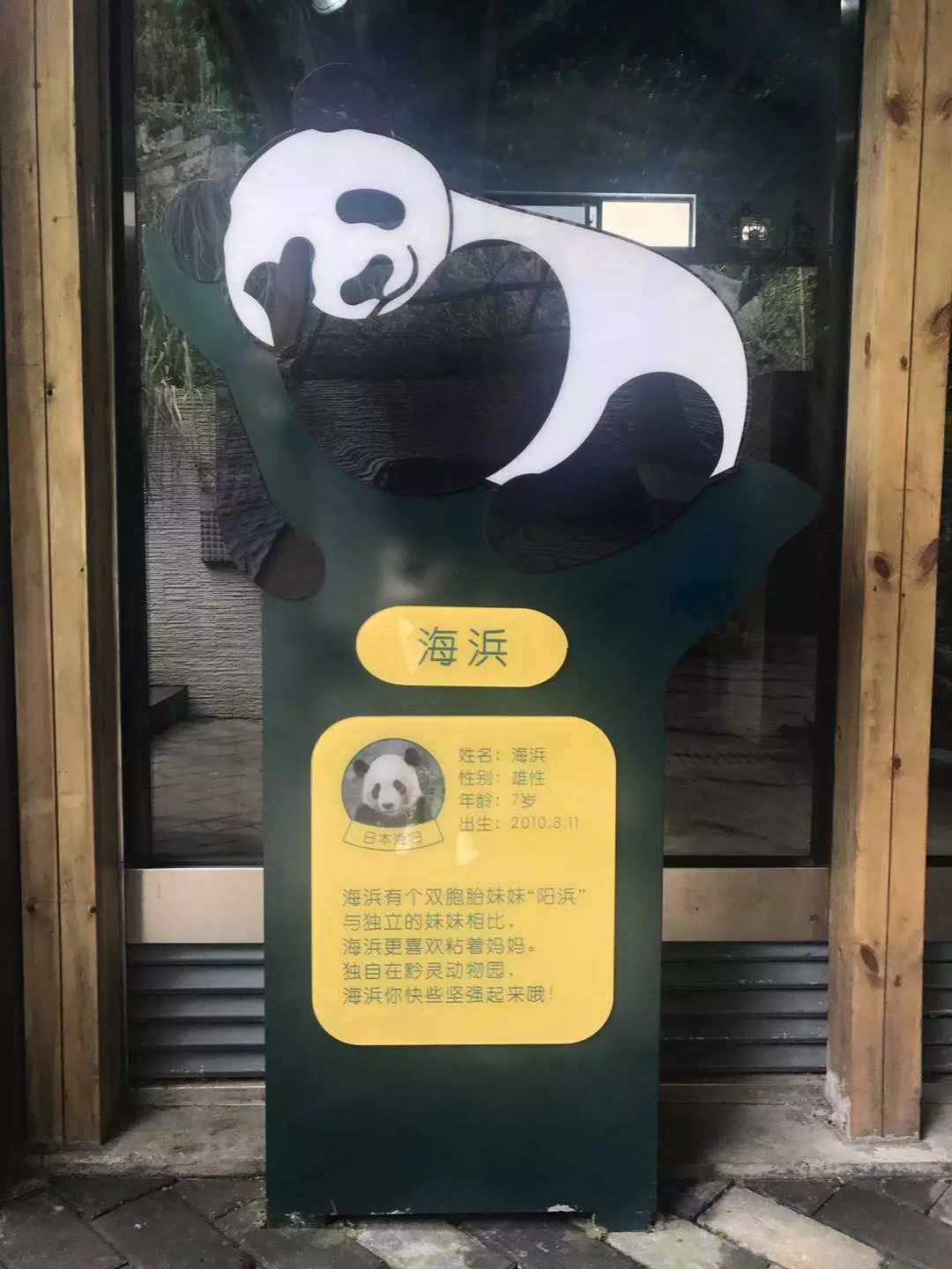 黔灵山公园熊猫馆五一节,贵阳市黔灵山公园熊猫馆开放时间