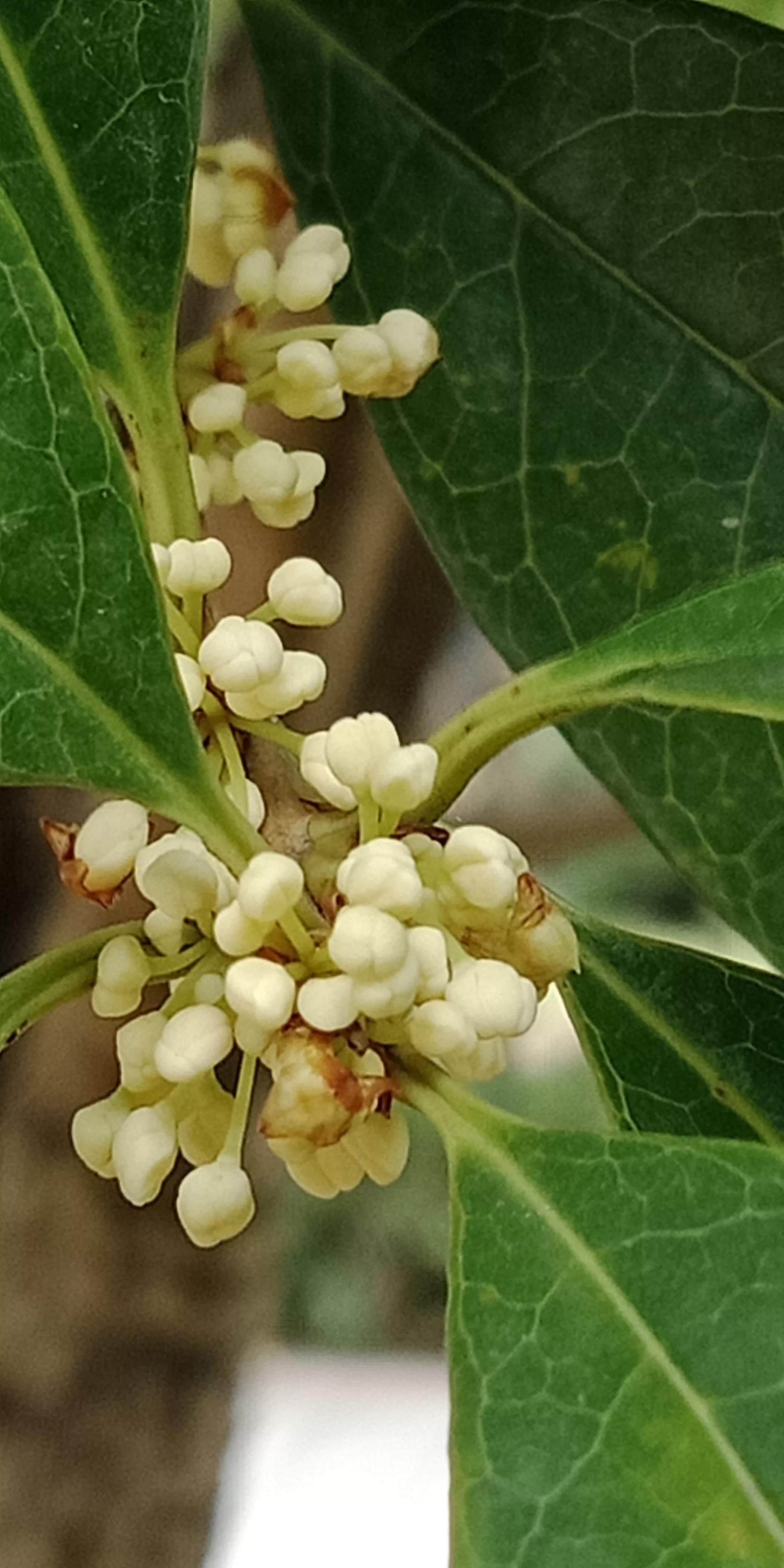 人睡着后不盖被子会着凉吗,人睡觉时为什么要枕枕头