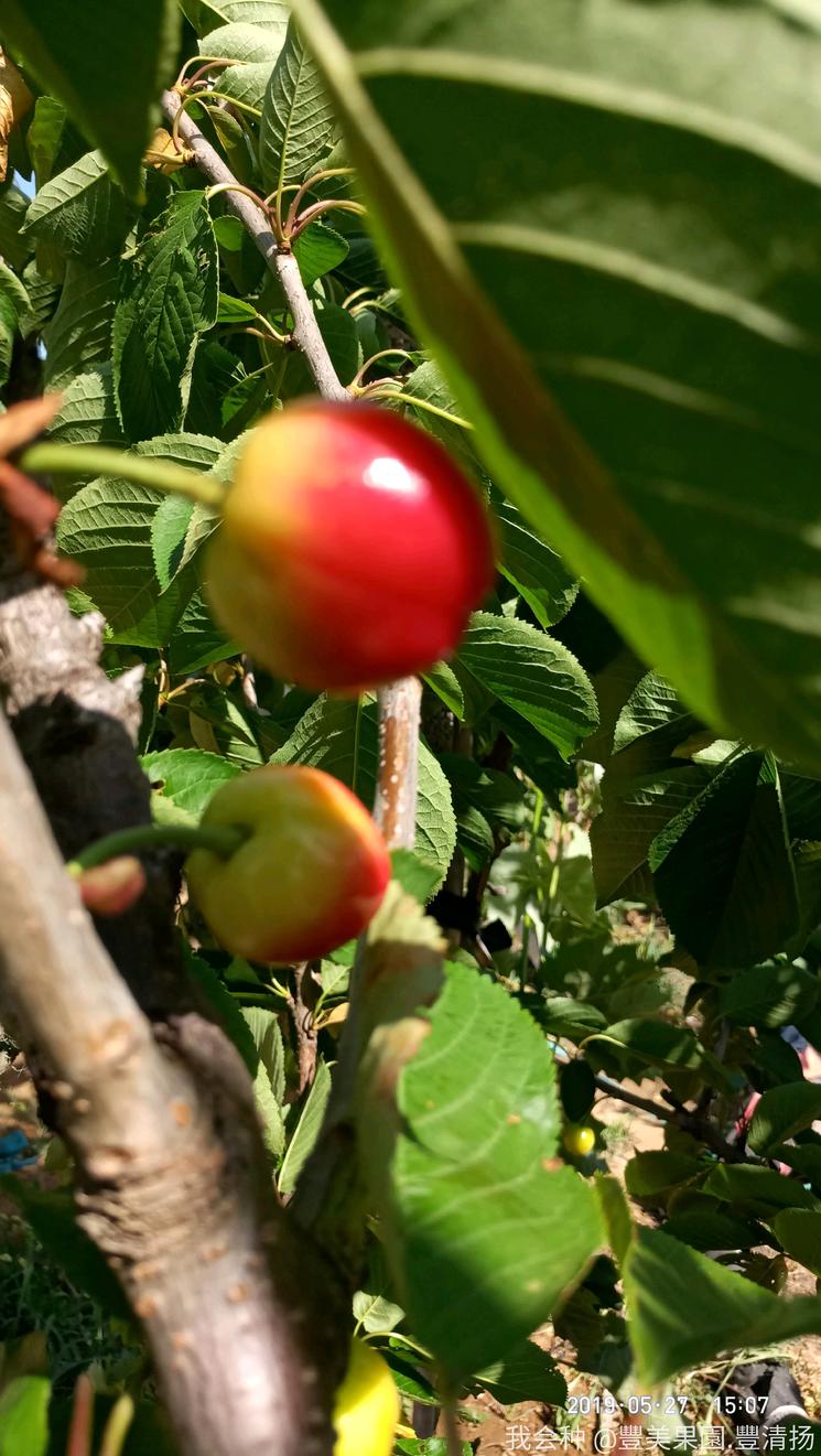 诗和远方在身边完整版,诗和远方在身边