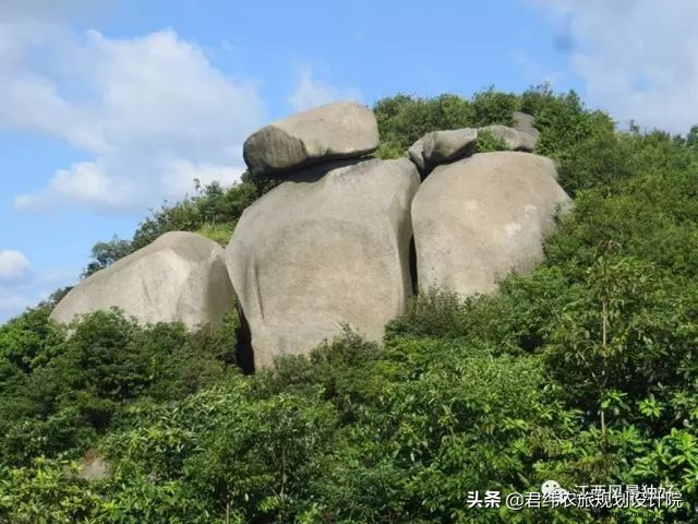 江西赣州一瓶老酒,江西100多一瓶的酒