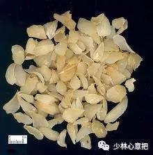 中药图片大全名称,中药图片大全带药名高清