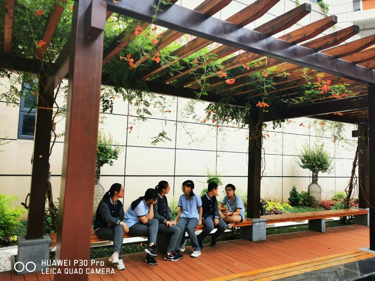 南京教育现代化初中名单,南京鼓楼区初中教育集团