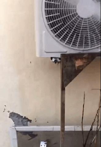 双十一买什么电器好,双十一买家具家电