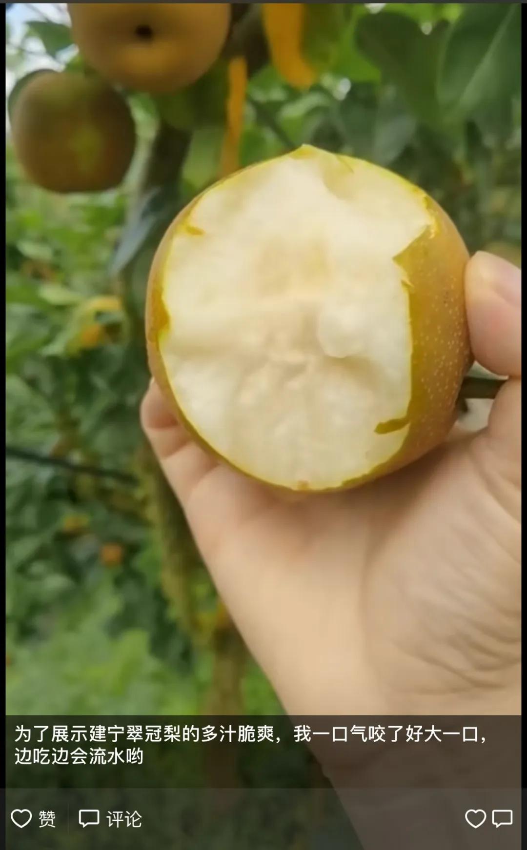 艾美龄：让农户搭乘互联网快车