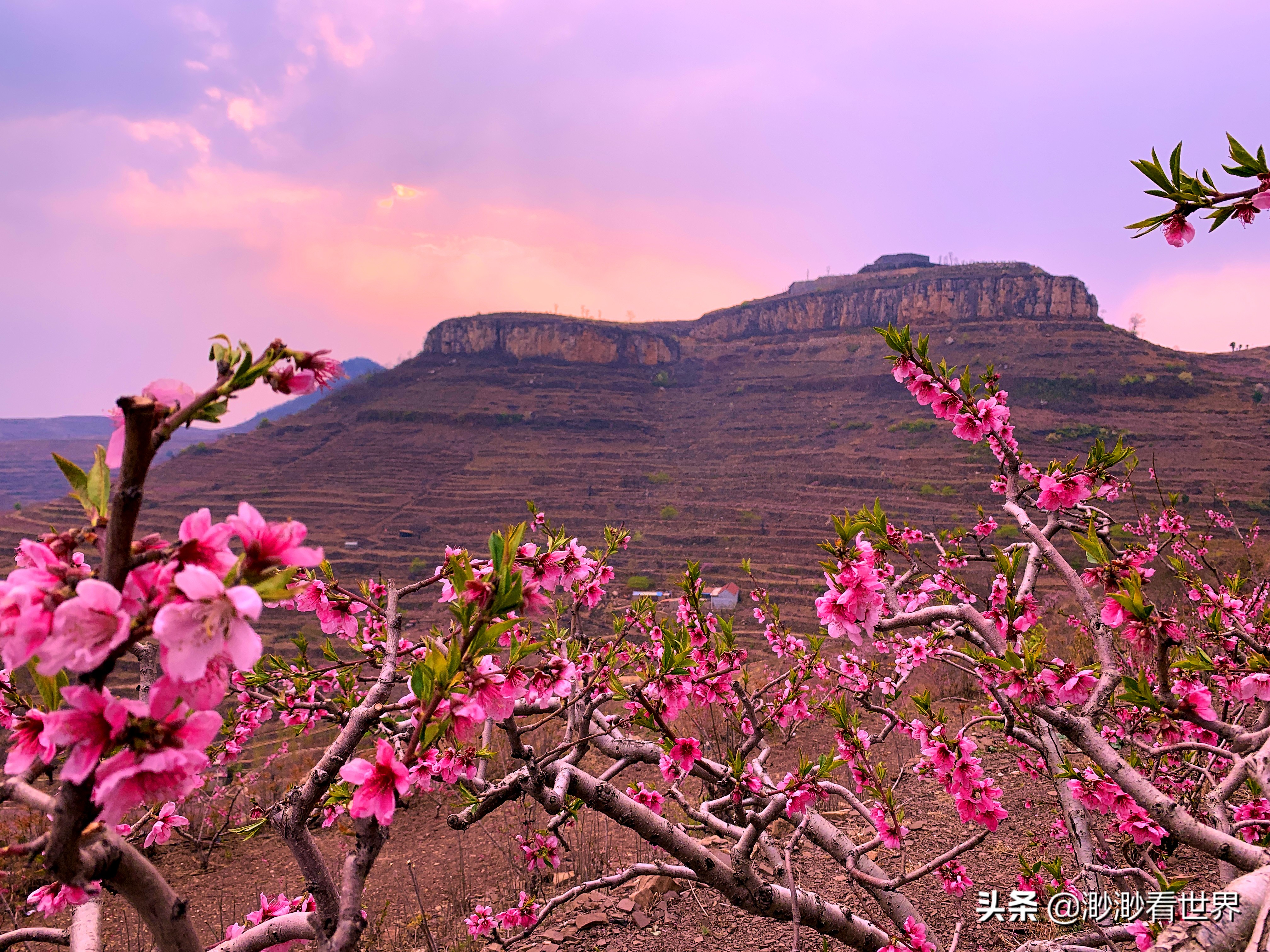 探索蒙阴岱崮地貌旅游奇景,沂南县岱崮地貌