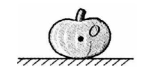 初中物理压力和压强视频讲解,初中物理课程压力压强