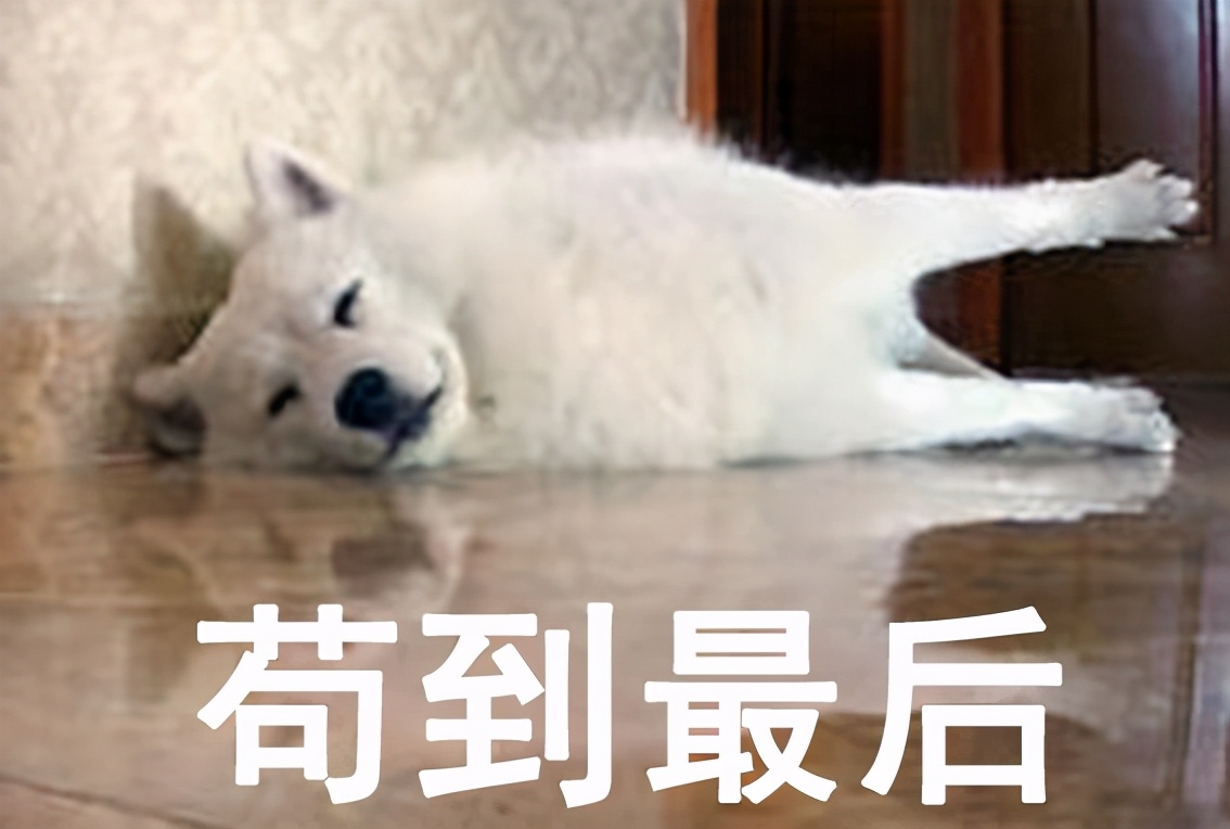 “你太苟了”表情包：做人就是要苟且偷生啦