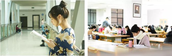 志愿填报英语专业,西安外国语大学征集志愿2023