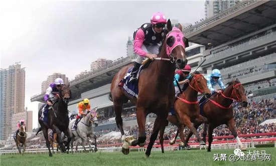 1秒赚你1个月工资,赛马骑师的年薪直接给我看哭了