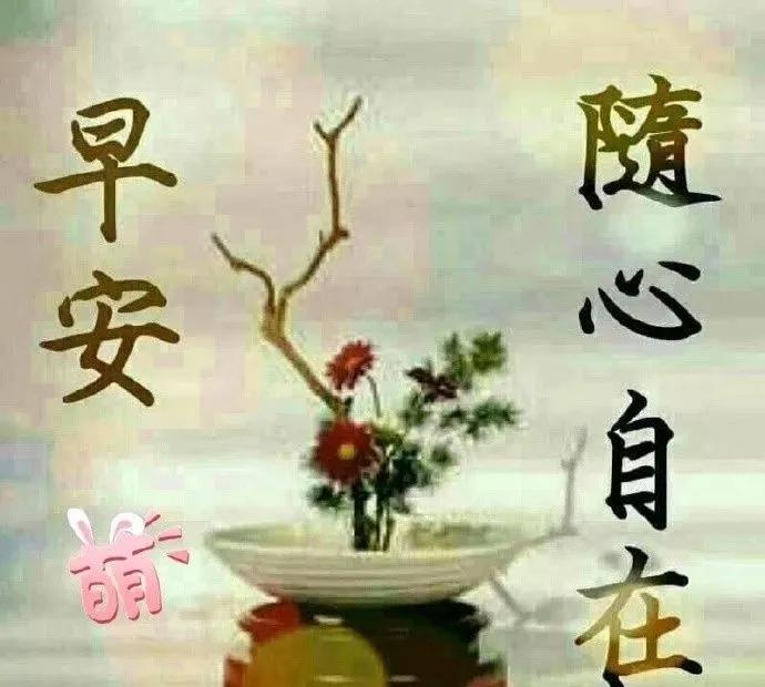 六月最近的早上好祝福语动态图片,新的五月份早上好问候图片