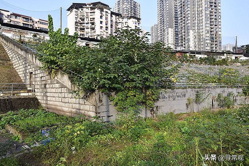 重庆力帆足球现状,重庆力帆足球场现状