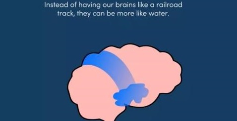 澳大利亚奶粉大量滞销,疫情下店铺倒闭风险分析