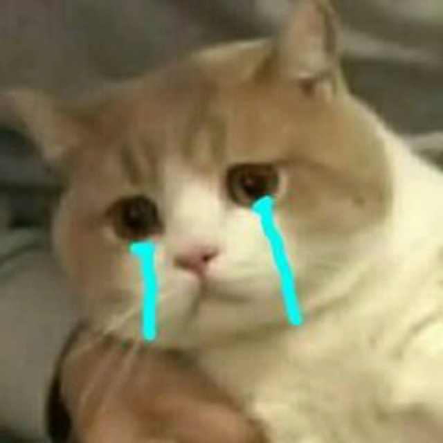 表情包我能怎么办呢,表情包我怎么找不到你了