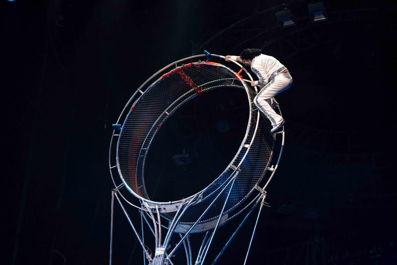 广州长隆野生动物世界旅游攻略,长隆野生动物世界攻略2-3天广州游