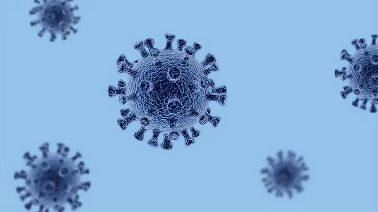 日本普及的2022十大年度热词,日本2022十大热门词