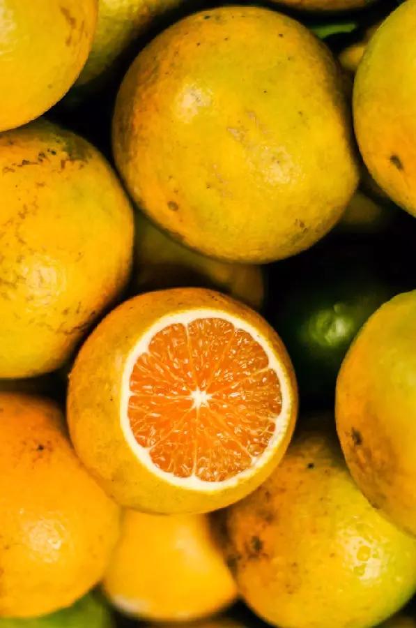 海南必吃十种水果图片名称,海南水果品种大全排名