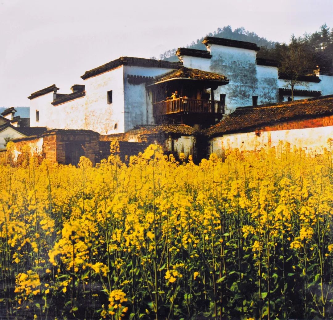 寻找桐庐幸运“嬉”客！游桐庐，我们为您买单！现金8888元