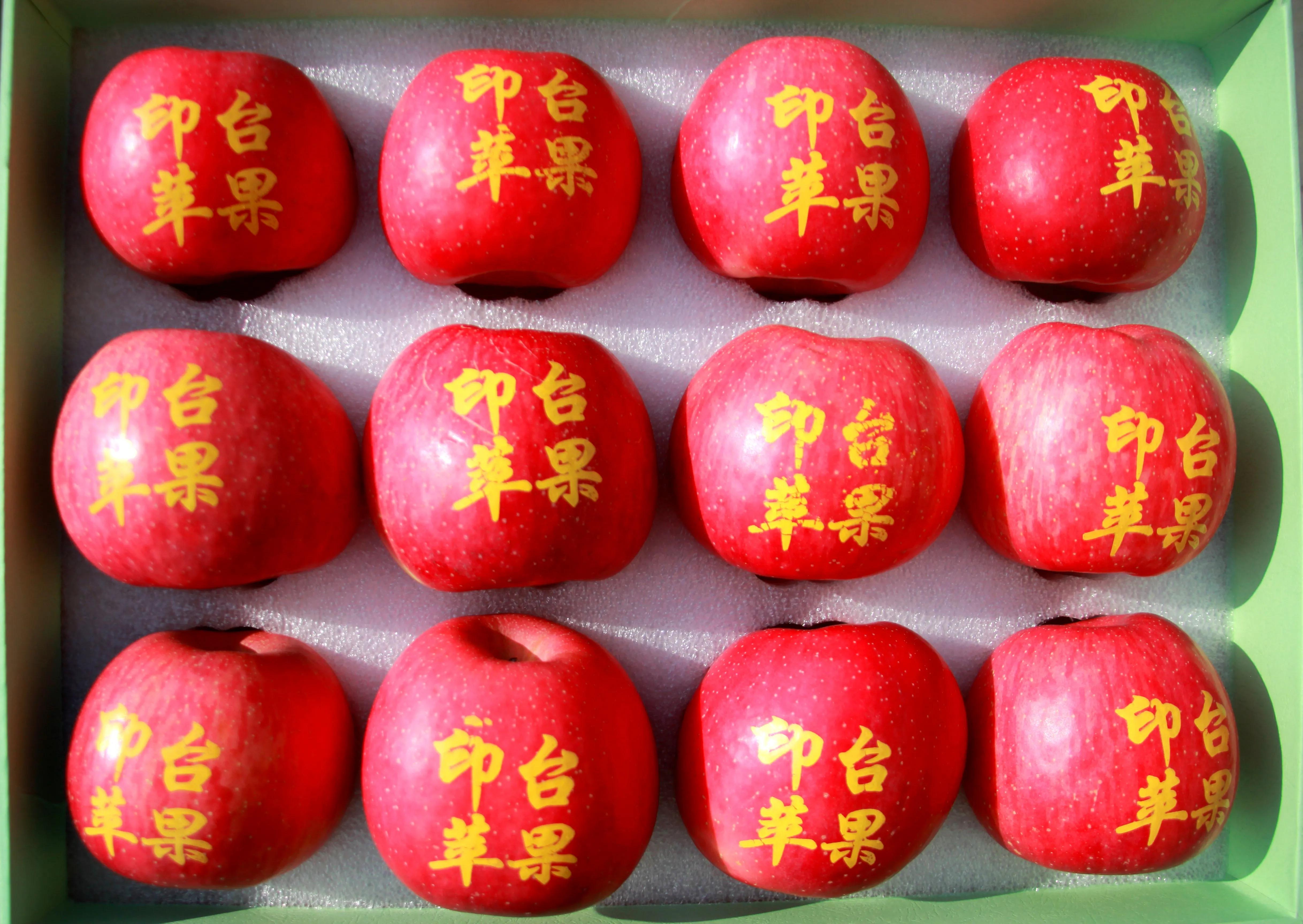 陕西铜川果品,铜川印台镇果业