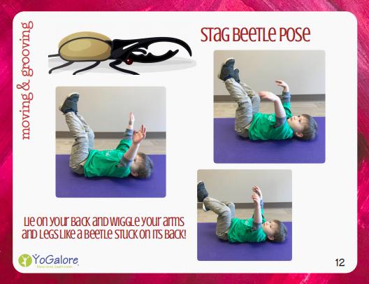 卡尔和爷爷,瑜伽卡和健身卡哪个好