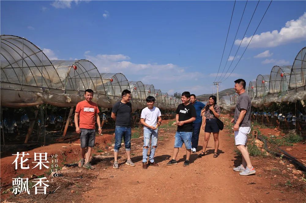 上市最早，收益最高，风险最大，果园投资的子午谷奇谋可取吗？